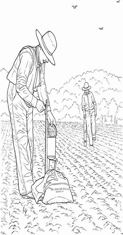 Plansa de colorat cu Ferma 37 25
